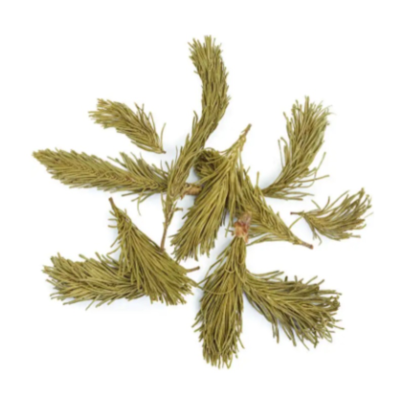 Balsam Fir Tips (Quebec 6g)