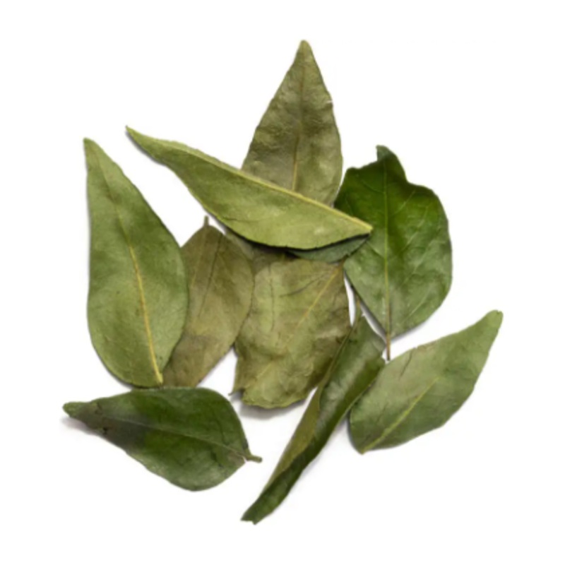 Curry Leaves (India 12g)