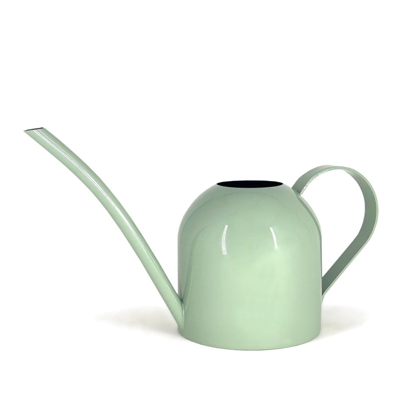 Sage Watering Can