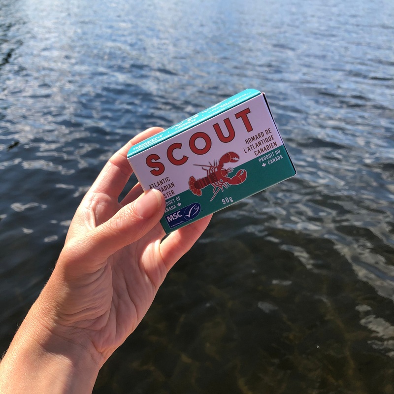 Scout Lobster