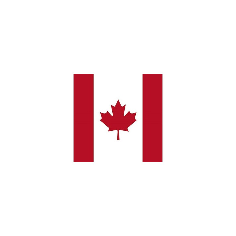 Canada Flag Paper Napkins - Lunch