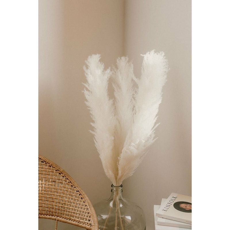 Bleached White Pampas Grass
