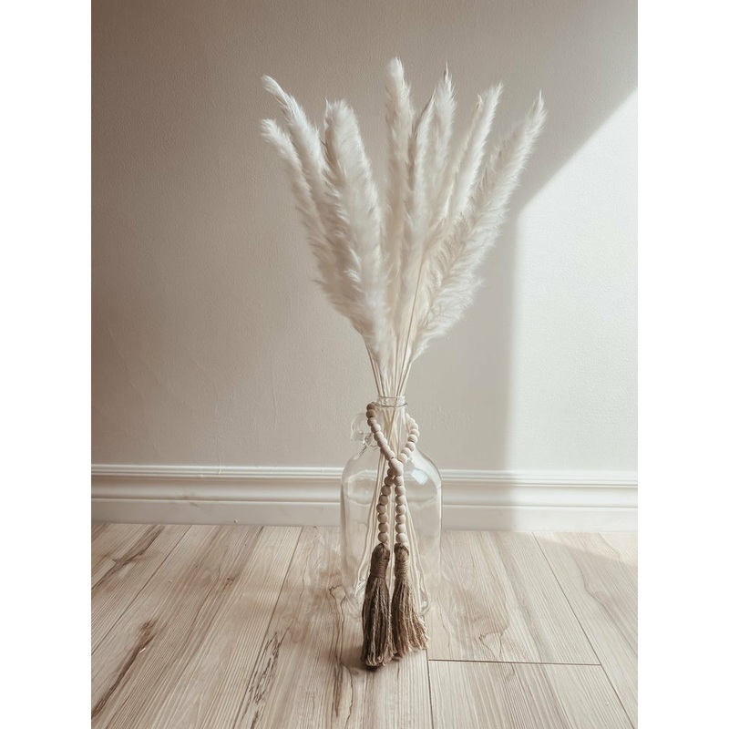 White Mini Pampas