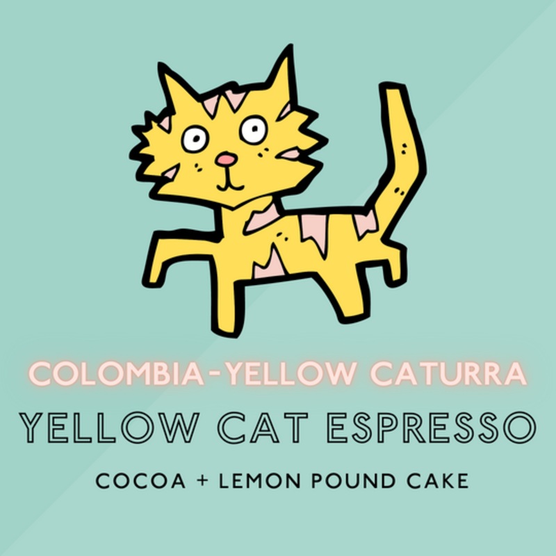 Yellow Cat Espresso