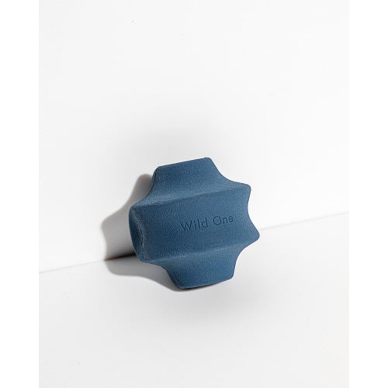 Large Blue Twist & Toss Dog Toy