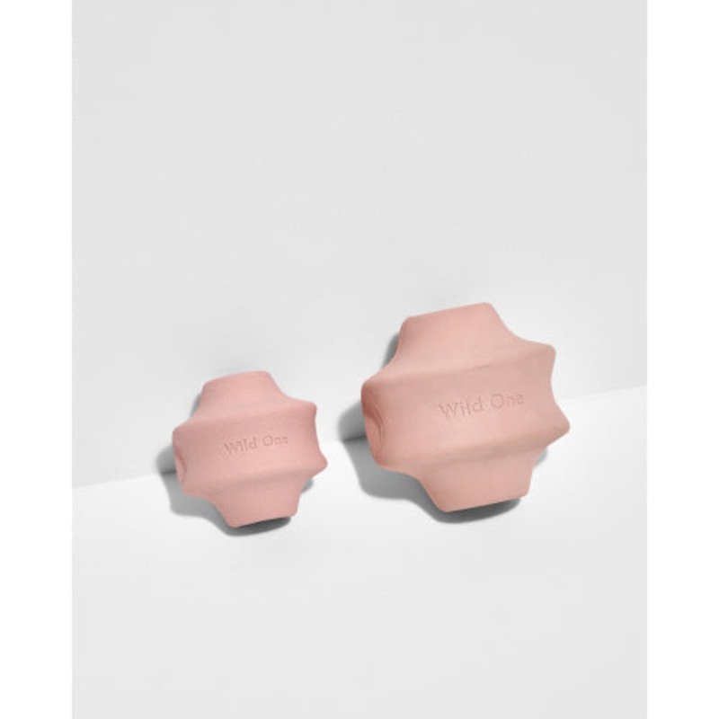 Pink Twist and Toss Dog Toy