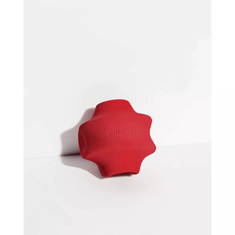 Large Red Twist & Toss Dog Toy