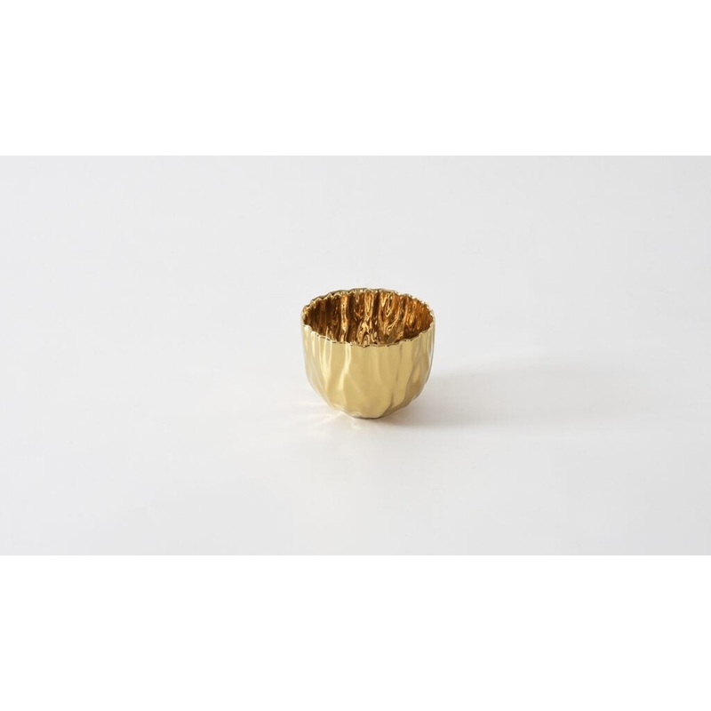 Pampa Bay Mascali Doro Bowl