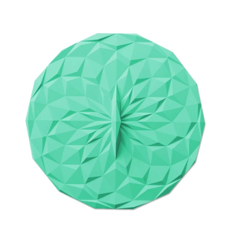 Lid 6in | Mint