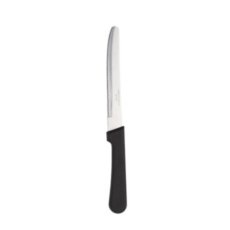 Steak Knives with Plastic Handle - Pack of 12