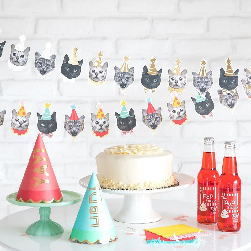 Party Animals Cat Banner