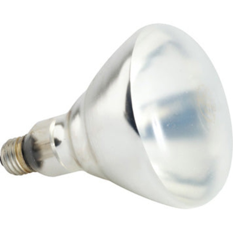 Jayhawk 01697 Coated Heat Lamp Bulb - Clear - 250 Watt