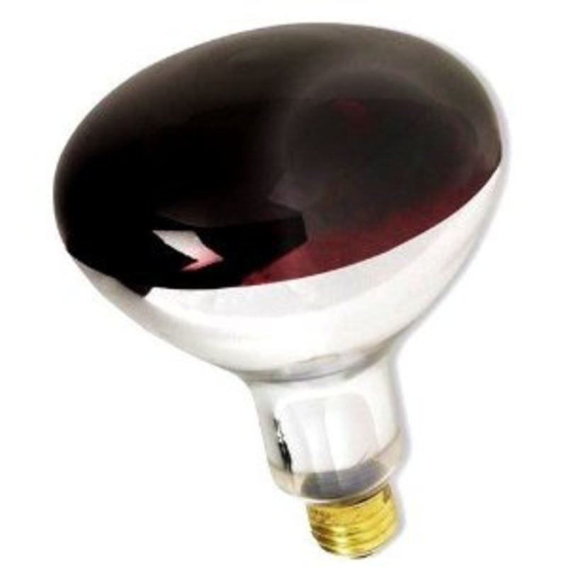 Jayhawk 01699 Coated Heat Lamp Bulb - Red - 250 Watt