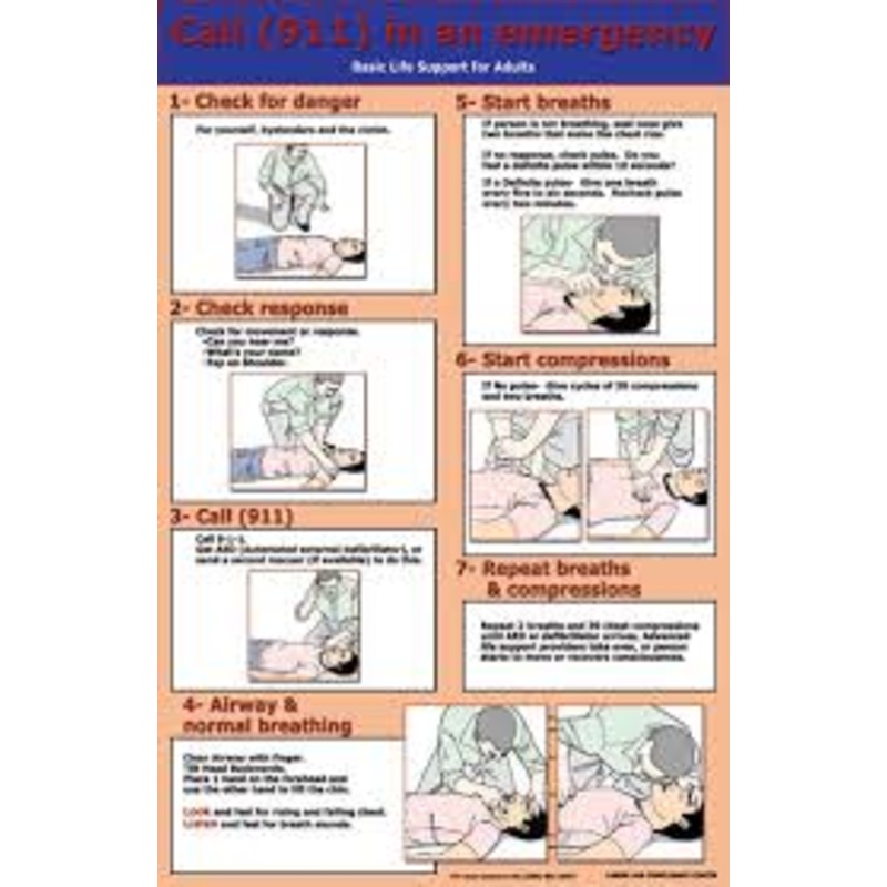 Pro-Tech Mats 204180111 "CPR" Steps Poster 11" x 17"