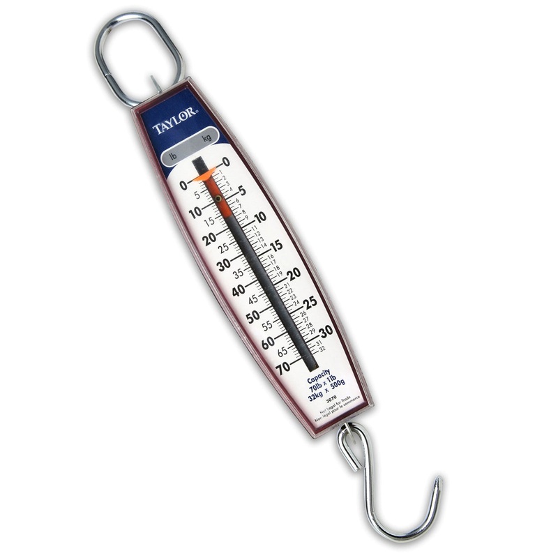 Taylor 30704104 Vertical Industrial Hanging Scale with Hook - 70 lb. x 1 lb.